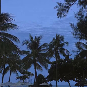 黑人巨鞭躁得嗷嗷叫
